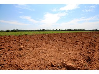TRACT 3 - SIGNIFICANT LAND & PRODUCING MINERALS AUCTION - 237 +/- SURFACE ACRES IN 4 TRACTS - 18 MINERAL PACKAGES IN GARVIN, MCCLAIN, GRADY & ROGER MILLS COUNTIES, OK - 6 Mo. AVG. CASH FLOW of $196,376/Mo.